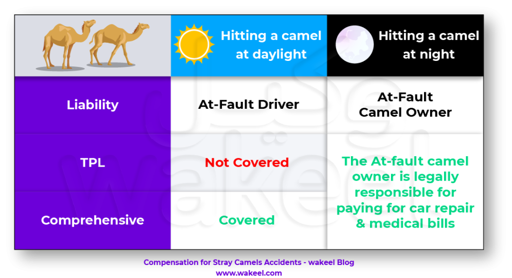 Comprehensive and Third party Car insurance cover for hitting a camel in Saudi Arabia.  