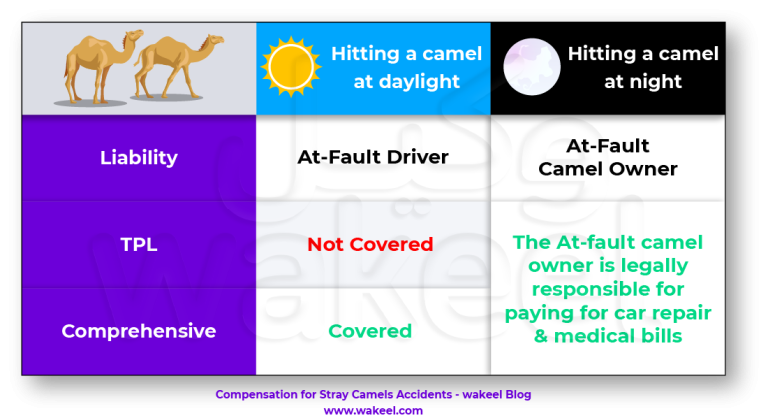 Compensation for Stray Camels Accidents | wakeel
